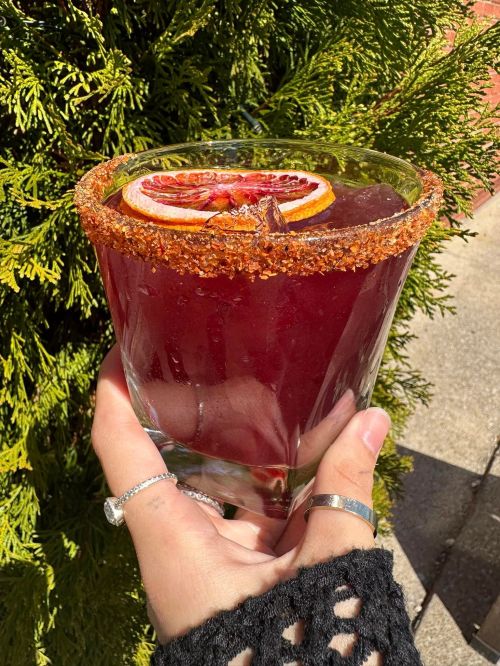 A hand holding a vibrant red cocktail with a sugared rim and a slice of blood orange, set against greenery.