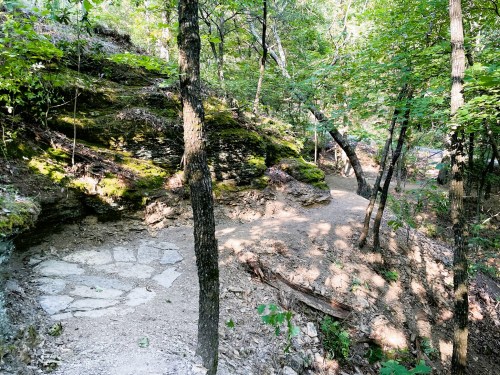A winding trail through a lush green forest with rocky outcrops and dappled sunlight filtering through the trees.