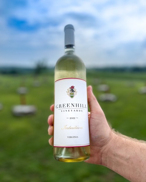 A hand holding a bottle of Green Hill Vineyards 2022 Intuition white wine against a blurred outdoor background.