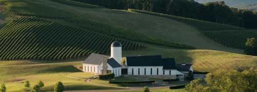 A scenic vineyard with rolling hills, featuring a modern winery building and lush green grapevines under a clear sky.