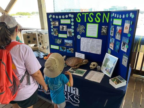 A child and adult view a display about sea turtles, featuring photos and information on a blue board.