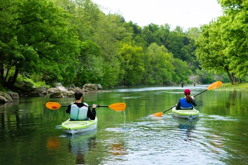 Two people kayaking on a calm river surrounded by lush green trees.
