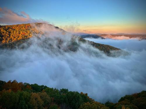 A misty landscape at sunrise, with colorful autumn trees and rolling hills partially shrouded in fog.