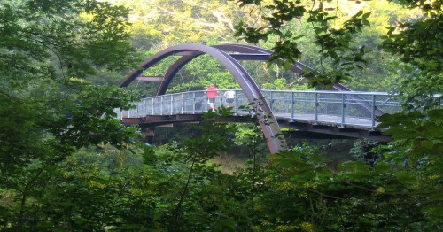 A curved metal bridge spans a lush green area, with two people walking on it surrounded by trees.