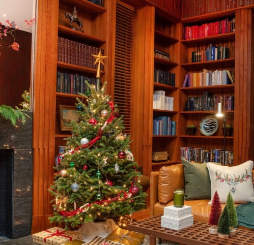 A cozy living room with a decorated Christmas tree, bookshelves, and festive decor, creating a warm holiday atmosphere.