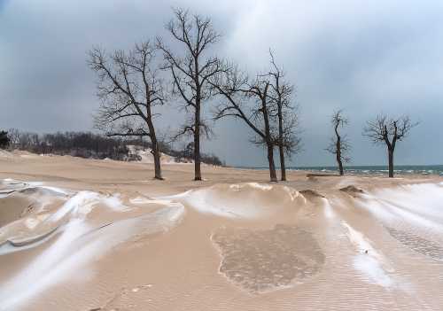 A desolate beach scene with bare trees, sandy dunes, and a stormy sky over a lake.