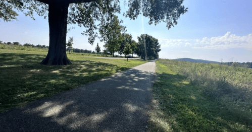 A peaceful pathway lined with trees, leading through a grassy area under a clear blue sky.