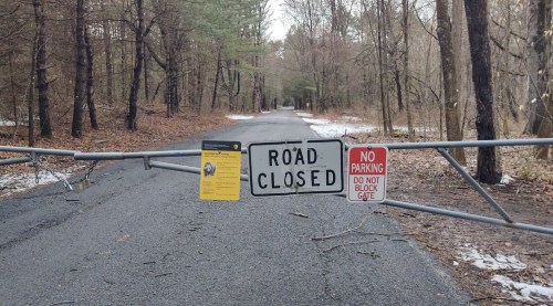 A closed road sign and a no parking sign block a forested path, with snow on the ground and trees lining the sides.