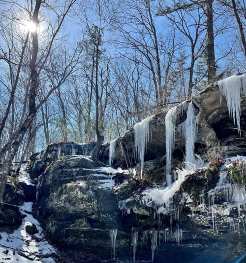 Icicles hang from rocky cliffs in a snowy forest under a bright blue sky and sunlight filtering through trees.