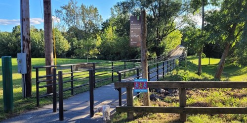 A pathway leads to a bridge, surrounded by greenery, with signs for walking and a small dog near the entrance.