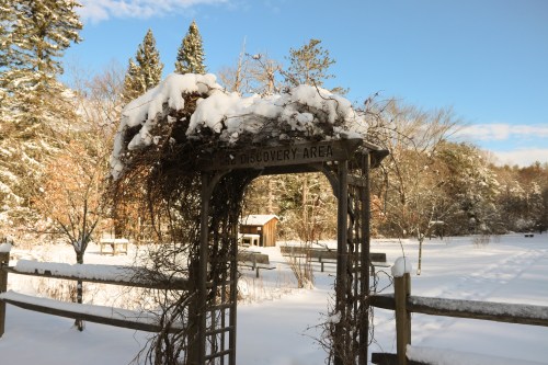 A snowy archway labeled "Discovery Area" in a winter landscape with trees and a wooden fence.