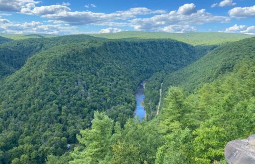 A scenic view of a lush green valley with a winding river, under a bright blue sky with fluffy clouds.