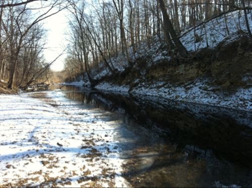 A serene winter scene of a riverbank lined with trees, snow covering the ground, and calm water reflecting the landscape.