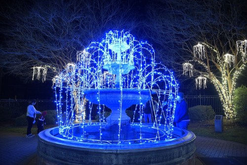 A illuminated fountain with blue lights, surrounded by trees adorned with white lights at night.