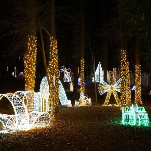 A forest path illuminated by colorful holiday lights, featuring various festive decorations among the trees.