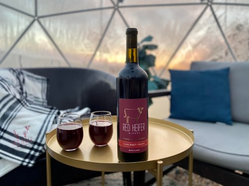 A bottle of Red Heifer Cabernet Franc with two glasses of wine on a gold table, set in a cozy dome with a blanket.