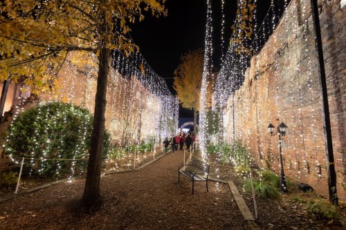 A pathway lined with sparkling lights and trees, leading through a festive outdoor area at night.