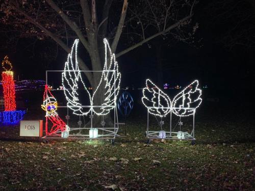 Brightly lit angel wings and butterfly wings made of lights, set against a dark background with fallen leaves.