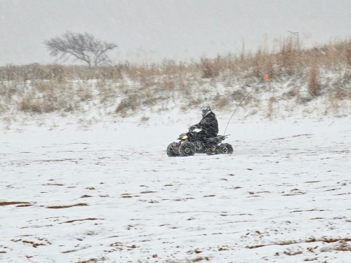A person rides an ATV through a snowy landscape, with snow falling and a tree in the background.