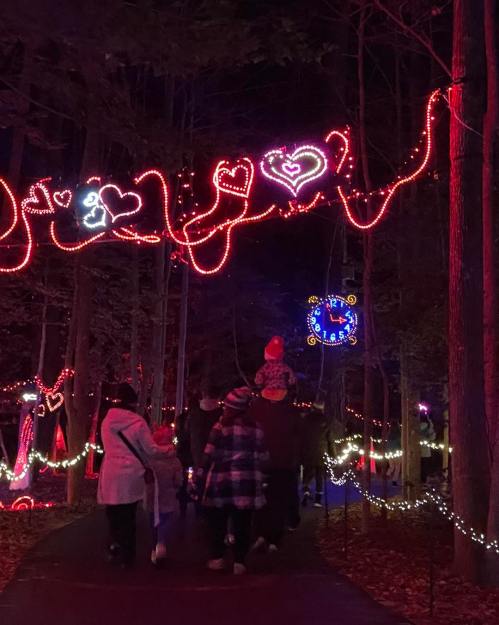 A group of people walks through a forest path adorned with colorful heart-shaped lights at night.