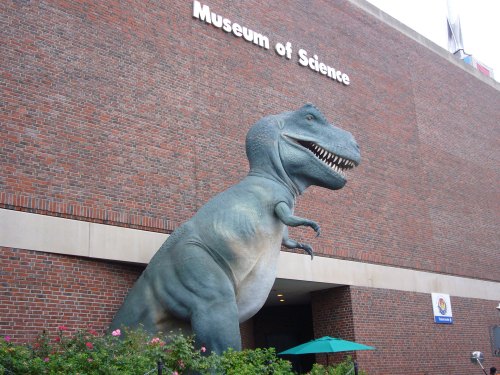 A large dinosaur statue stands outside the Museum of Science, with a brick wall and signage in the background.