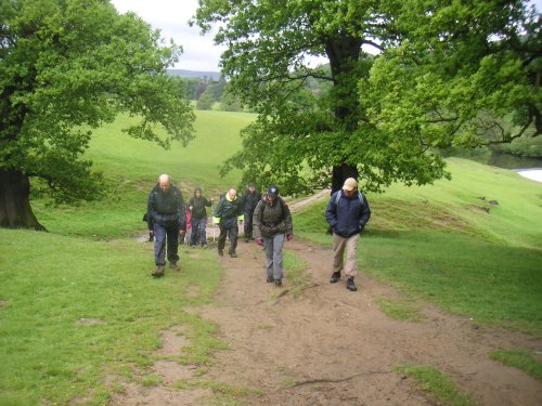 A group of people walking up a grassy path surrounded by trees on a cloudy day.