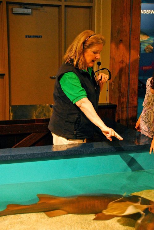 A woman in a green shirt interacts with visitors at an aquarium, pointing at a shark in a touch tank.