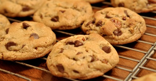 Freshly baked chocolate chip cookies cooling on a wire rack.