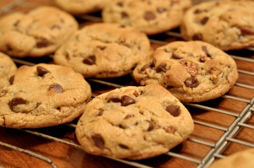 Freshly baked chocolate chip cookies cooling on a wire rack.