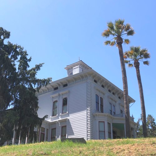 A large, white Victorian-style house with a tower, surrounded by palm trees against a clear blue sky.