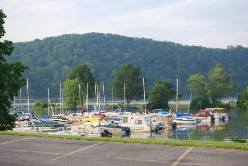 A serene marina with various boats docked, surrounded by lush green hills and calm water.