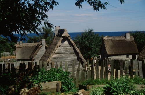 A scenic view of thatched-roof houses surrounded by greenery, with the ocean visible in the background.