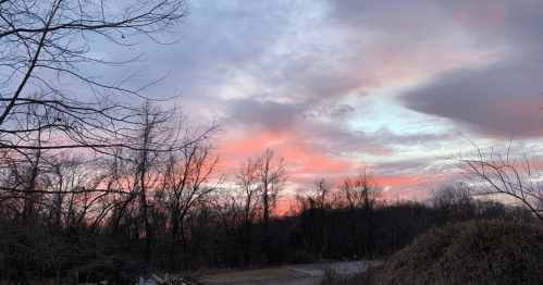 A colorful sunset with pink and orange hues, framed by bare trees and a winding path in a serene landscape.