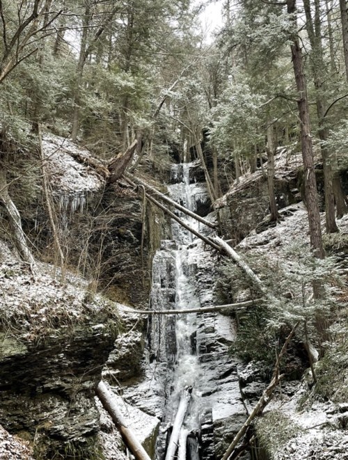 A serene waterfall cascades down rocky cliffs, surrounded by snow-dusted trees and fallen logs in a winter forest.