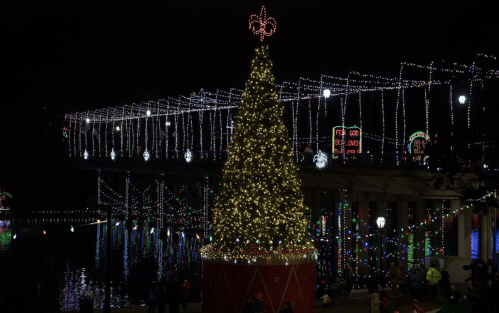 A beautifully lit Christmas tree stands by a decorated waterfront, with colorful lights adorning the surrounding area.