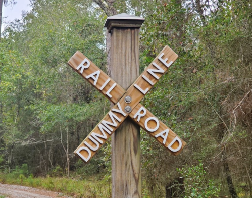 Wooden signpost with "RAIL LINE" and "DUMMY ROAD" in bold letters, surrounded by trees and a dirt path.