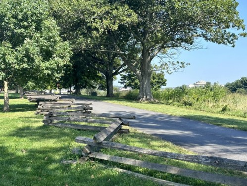 A peaceful park scene with a winding path, lush green grass, and leaning wooden fences under clear blue skies.
