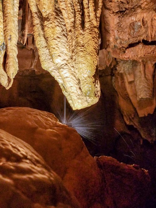 Stalactites hang from a cave ceiling, with water droplets glistening as they fall into a rocky cavern below.