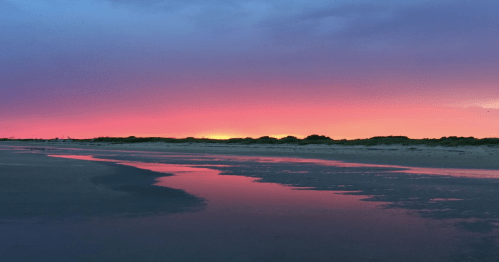 A vibrant sunset casts pink and purple hues over a beach, reflecting in a shallow pool of water.
