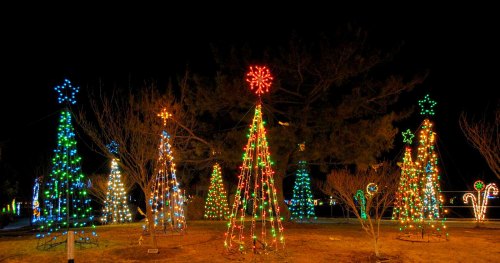 Colorful Christmas trees adorned with lights, set against a dark night sky, creating a festive holiday atmosphere.