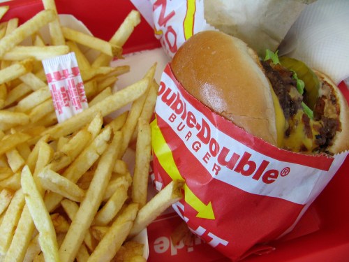 A close-up of a Double-Double burger wrapped in paper, served with a side of golden French fries on a red tray.