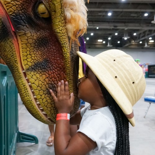 A child in a hat gently touches the snout of a dinosaur model at an indoor event.