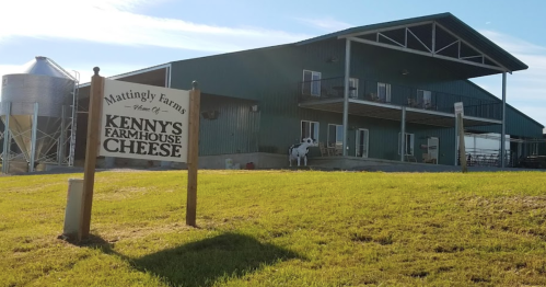 A green barn with a sign for Kenny's Farmhouse Cheese, surrounded by grass and a silo in the background.