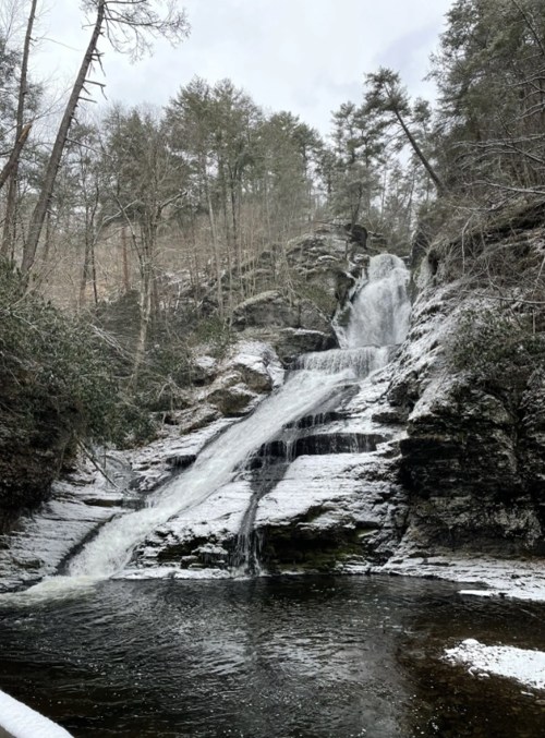 A snowy waterfall cascades down rocky cliffs, surrounded by trees in a serene winter landscape.