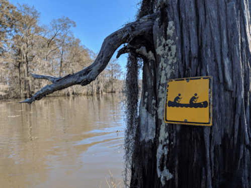 A yellow sign on a tree warns of canoeing activity near a calm river surrounded by trees.