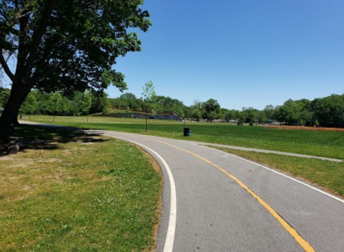 A winding path through a sunny park, with green grass and trees on either side, leading to a distant playground.