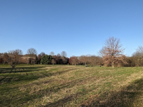 A clear blue sky over a grassy field with scattered trees and a distant house.