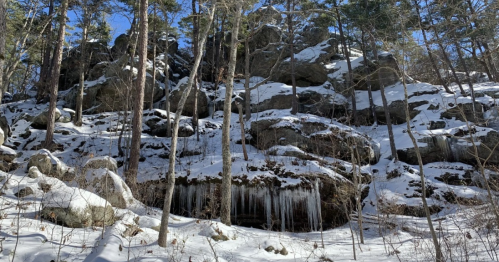 Snow-covered rocky hillside with tall trees and icicles hanging from the rocks under a clear blue sky.