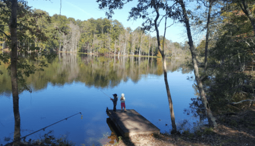 Two people fish from a wooden dock by a calm lake surrounded by trees, reflecting the scenery in the water.