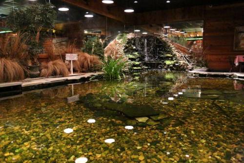 Indoor pond with clear water, rocks, and plants, surrounded by wooden decor and a waterfall in a cozy setting.